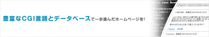 豊富なCGI言語とデータベースで一歩進んだホームページを！